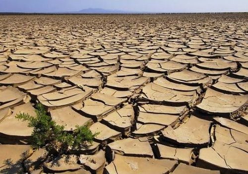 cambiamenti_climatici_terreni_agricoli_desertificazione