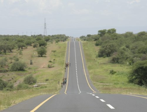 trunk_road_tanzania