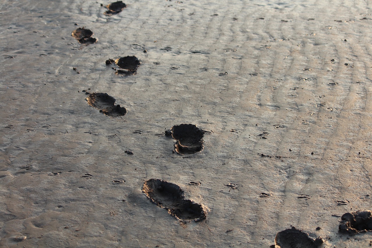 footprints-284708_1280