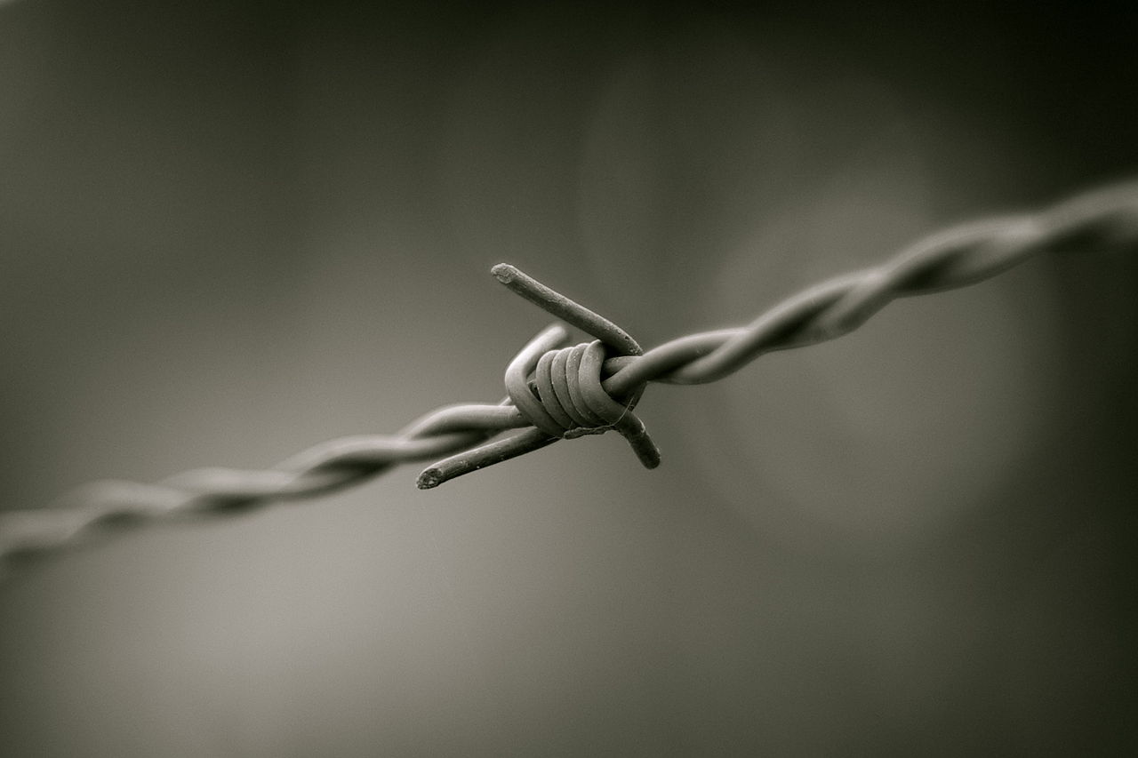 1280px-barbed_wire_bw