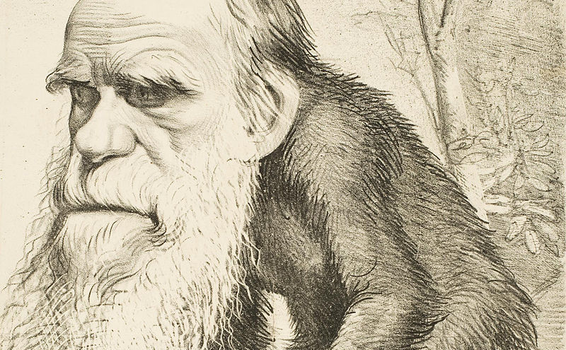 editorial_cartoon_depicting_charles_darwin_as_an_ape_1871