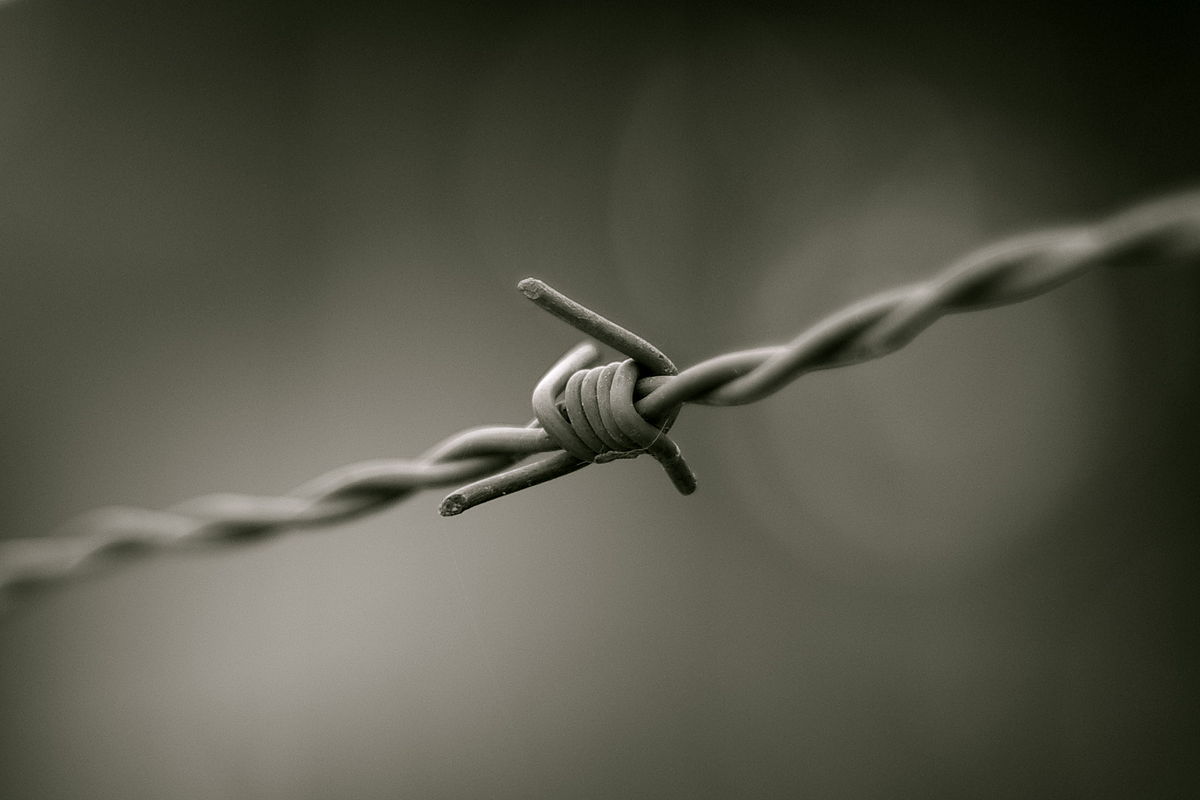 1200px-barbed_wire_bw
