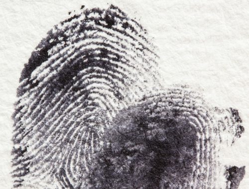 fingerprint-255904_1280