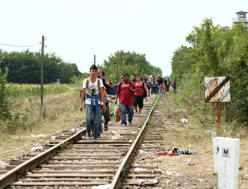 migrants_in_hungary_2015_aug_010