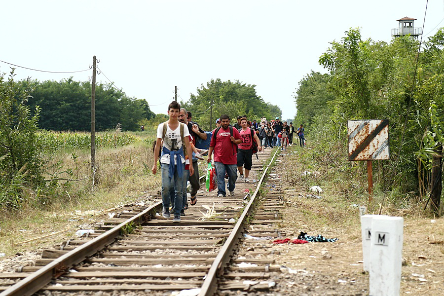 migrants_in_hungary_2015_aug_010