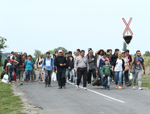 migrants_in_hungary_2015_aug_007