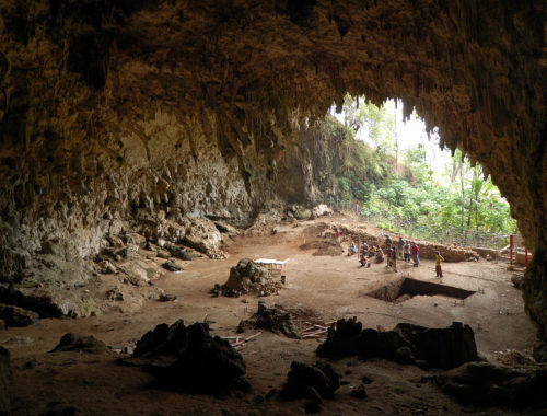 homo_floresiensis_cave