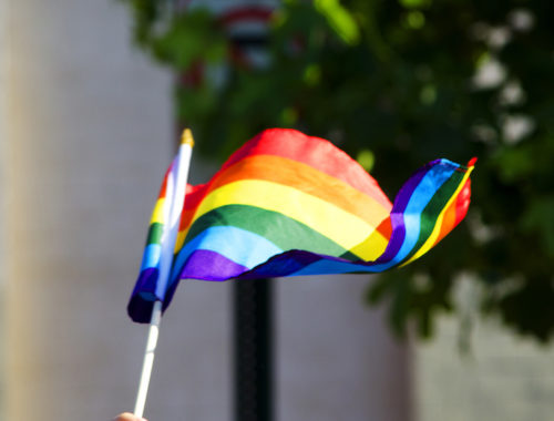 rainbow_flag_-_dc_capital_pride_parade_-_2013-06-08_8992857356