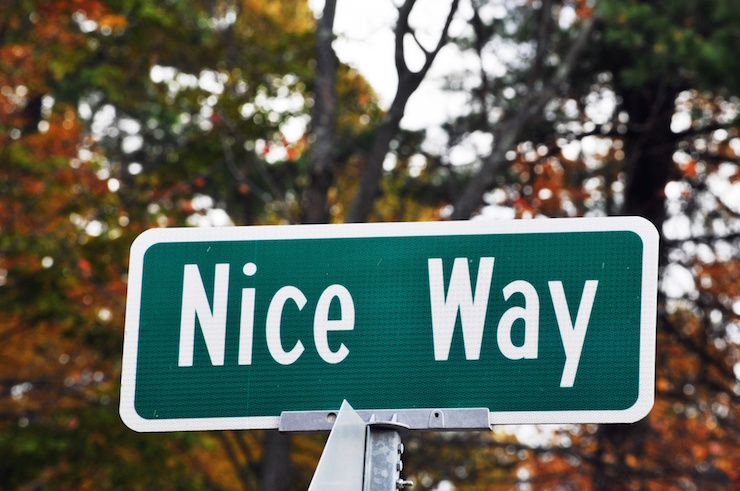 nice-way-street-sign