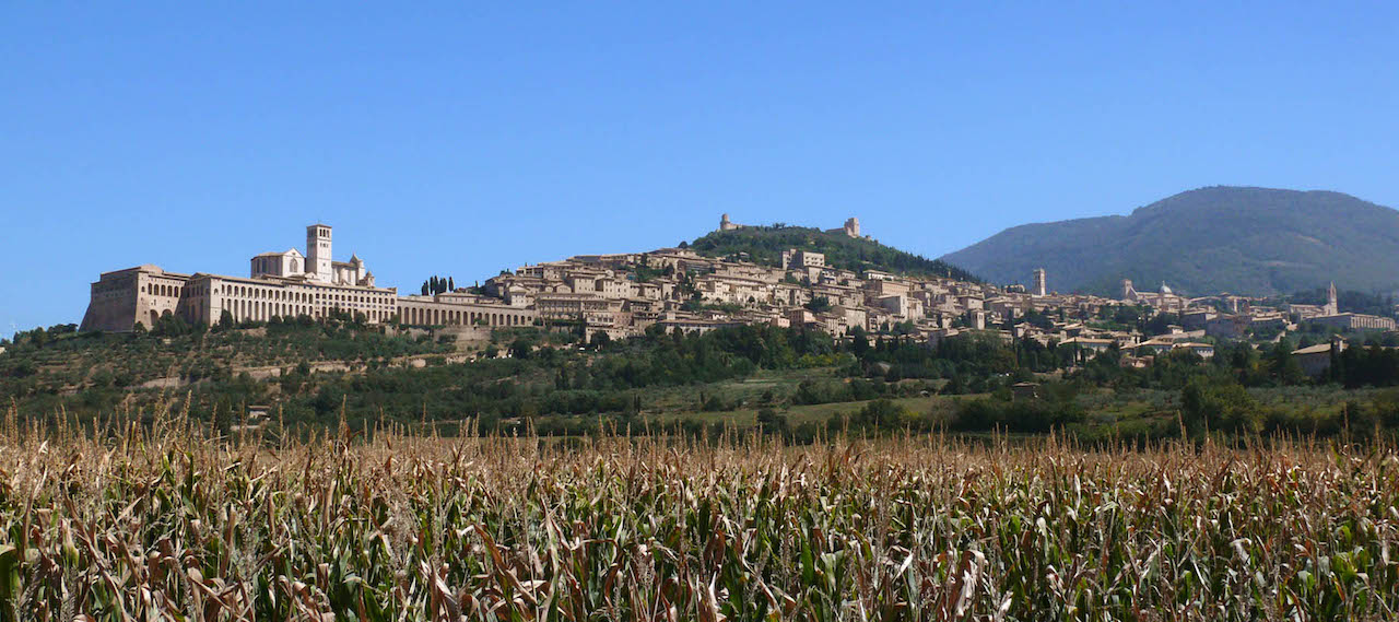assisi_z00