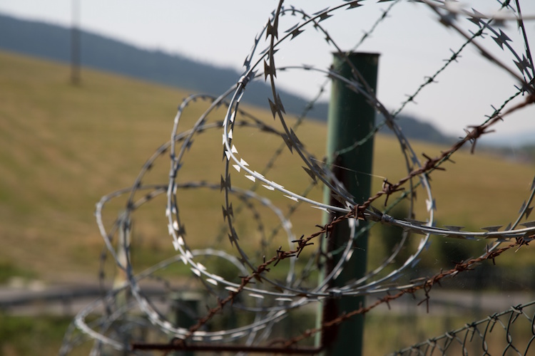 barbed-wire-1463941406o0x
