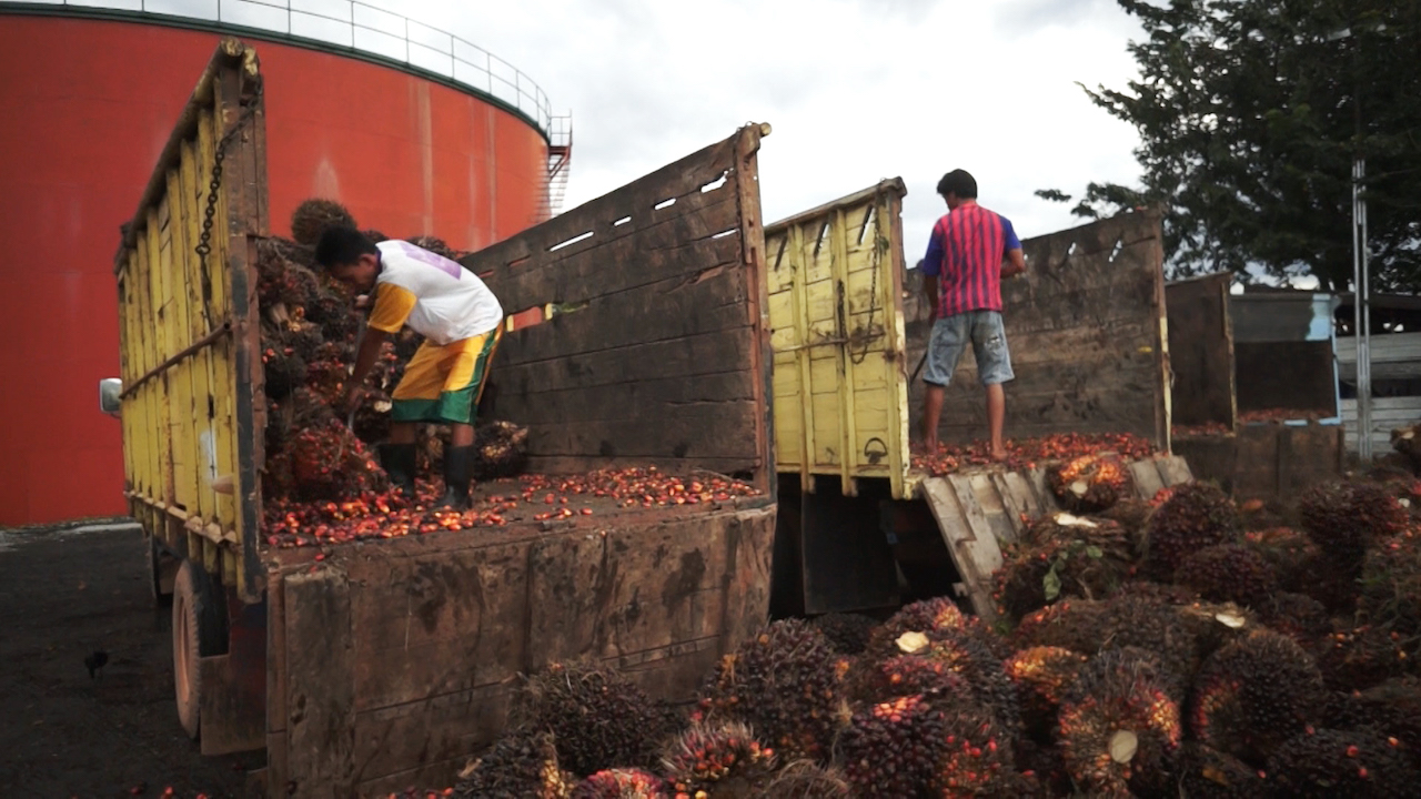 234506_palm_oil_production_-_indonesia
