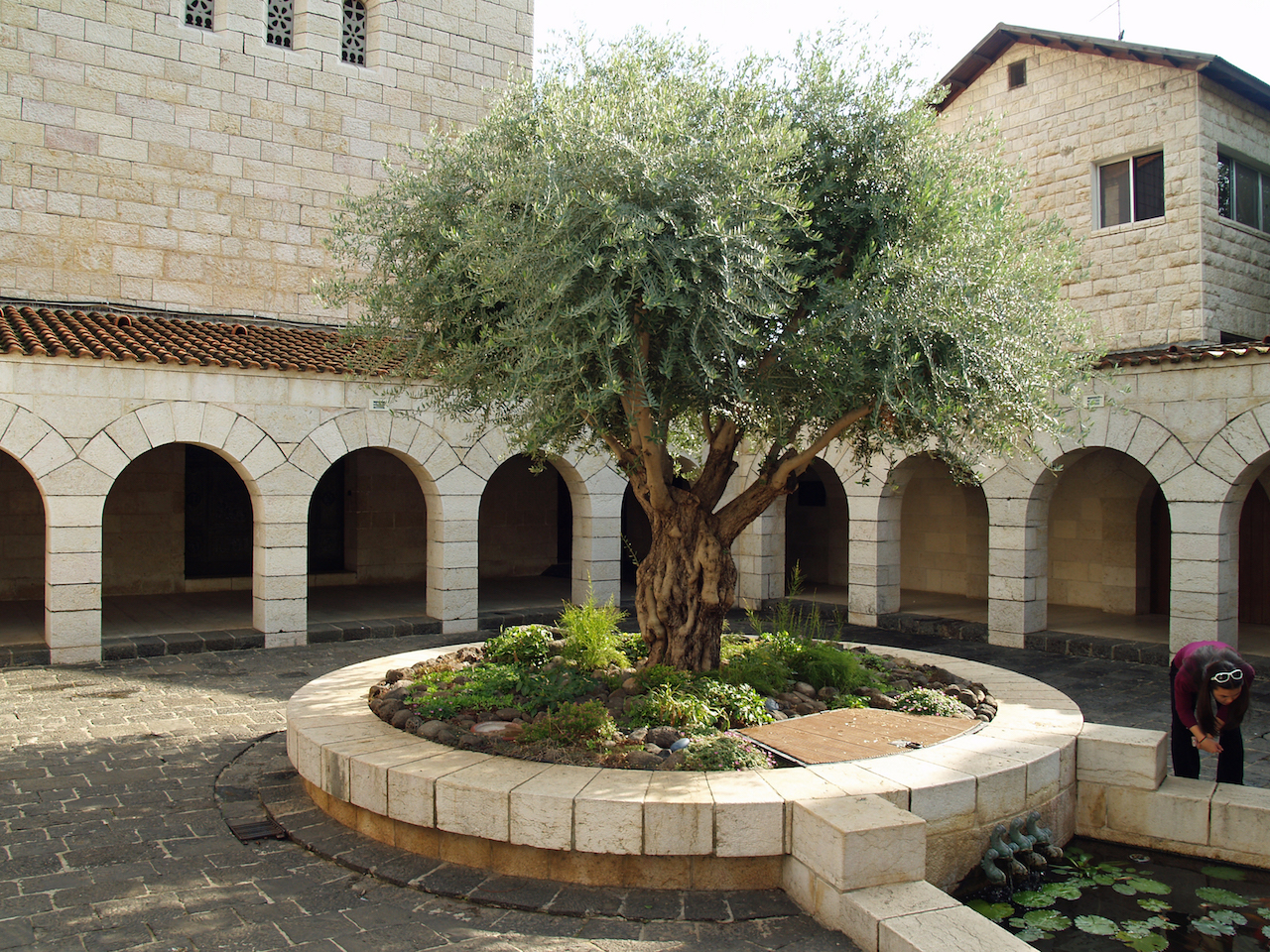 courtyard_of_the_church_of_the_multiplication_in_tabgha_by_david_shankbone
