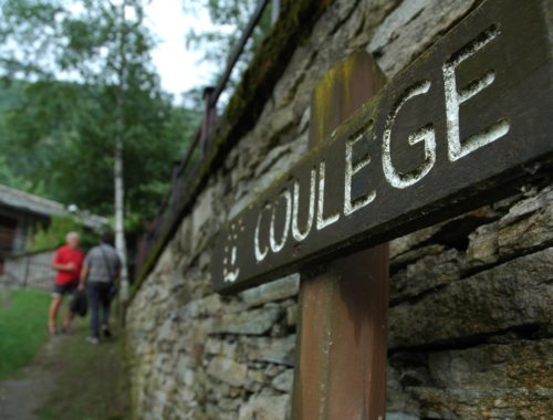 coulege_1