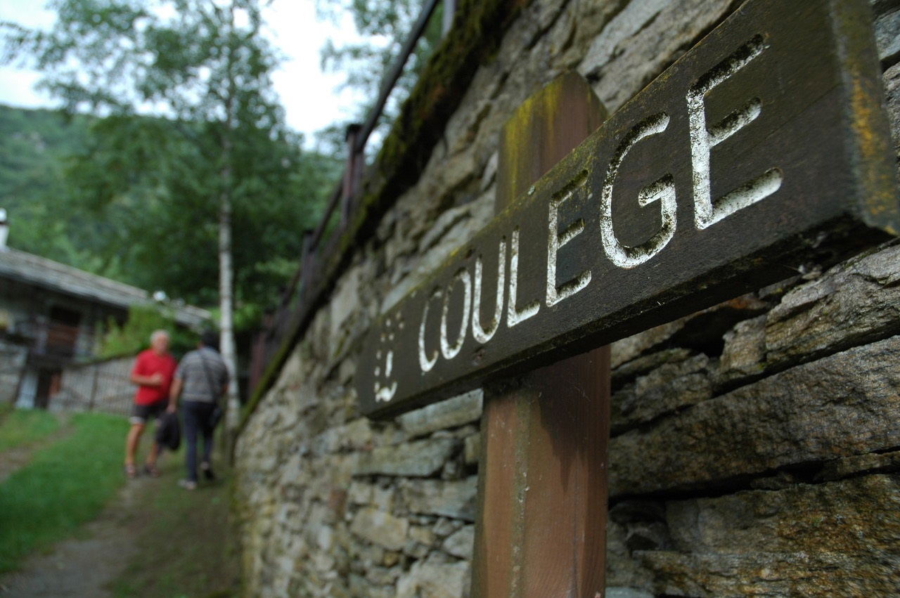 coulege_1