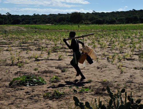 drought-affects-health-and-farming-madagascar