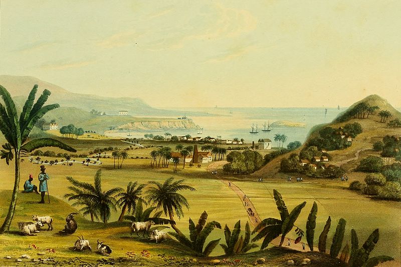 800px-hakewill_a_picturesque_tour_of_the_island_of_jamaica_plate_11