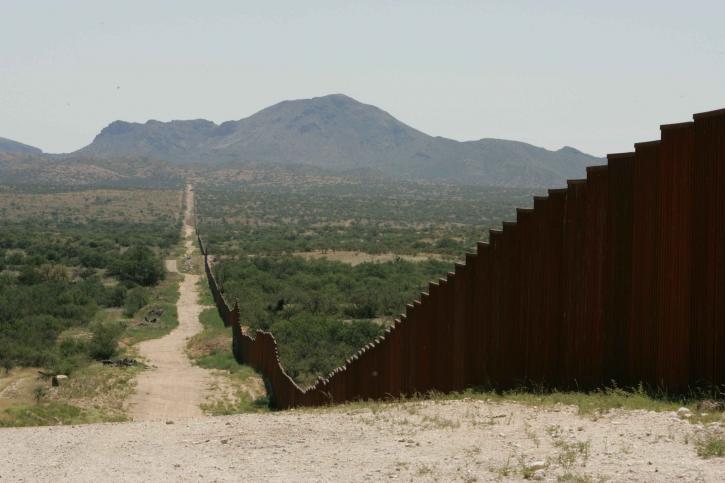 long-border-fence-725x483