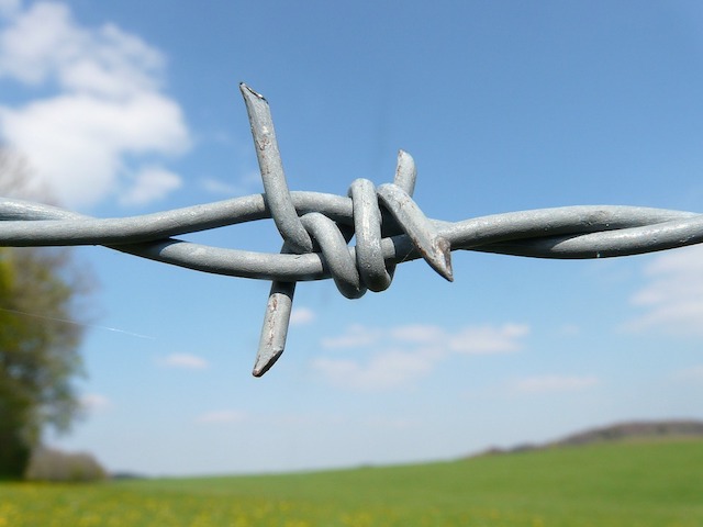 barbed-wire-6904_960_720