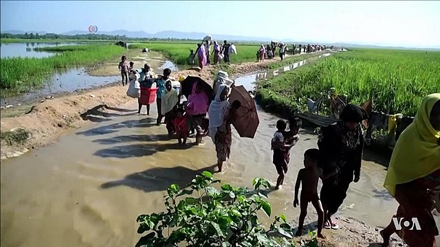 640px-rohingya_refugees_entering_bangladesh_after_being_driven_out_of_myanmar_2017