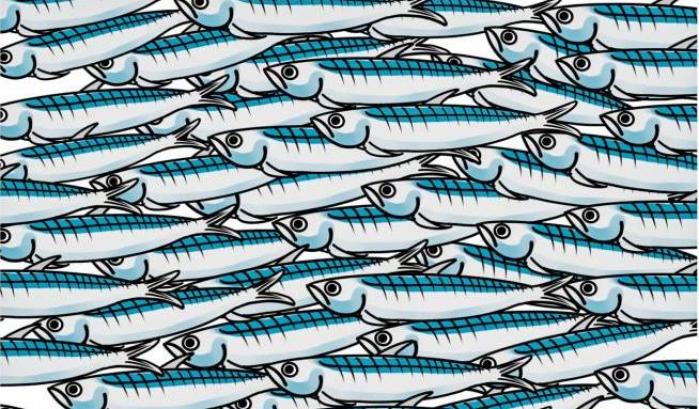 zingaretti-le-sardine-ti-guardano