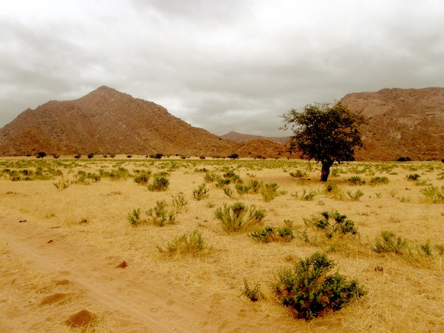 hills-and-desert