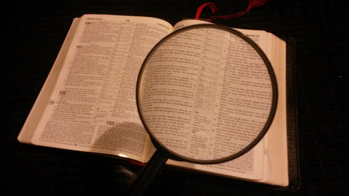 magnifying_glass_magnified_magnifying_magnify_magnification_magnifier_inspect_enlarge-849526