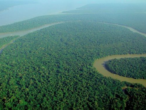 640px-aerial_view_of_the_amazon_rainforest