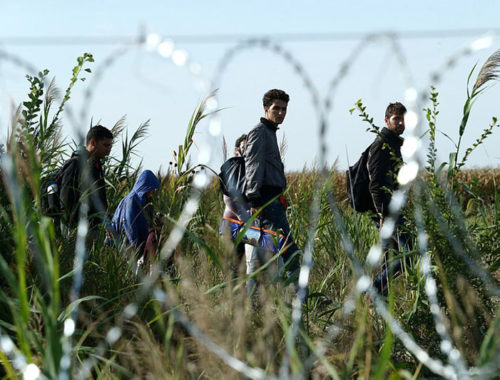 migrants_in_hungary_2015_aug_015